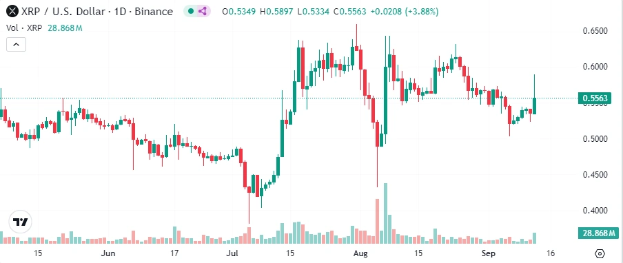 XRP вырос на 8%